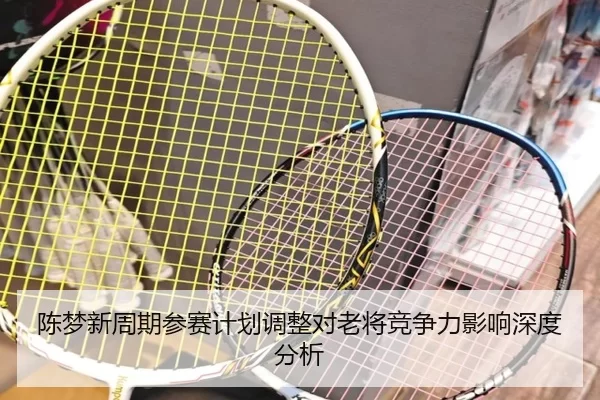 陈梦新周期参赛计划调整对老将竞争力影响深度分析