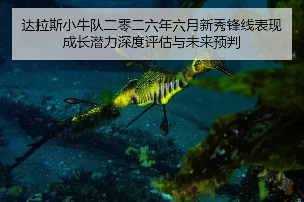 da-la-si-xiao-niu-dui-er-ling-er-liu-nian-liu-yue-xin-xiu-feng-xian-biao-xian-cheng-zhang-qian-li-shen-du-ping-gu-yu-2-679.jpg