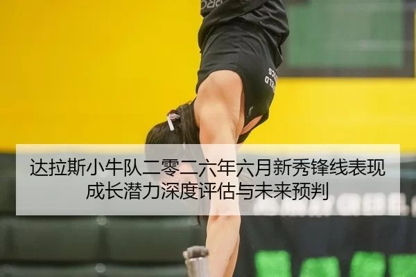 达拉斯小牛队二零二六年六月新秀锋线表现成长潜力深度评估与未来预判
